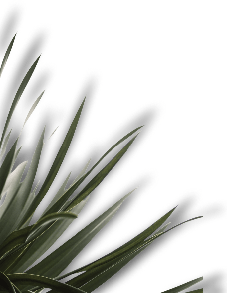 plantasla